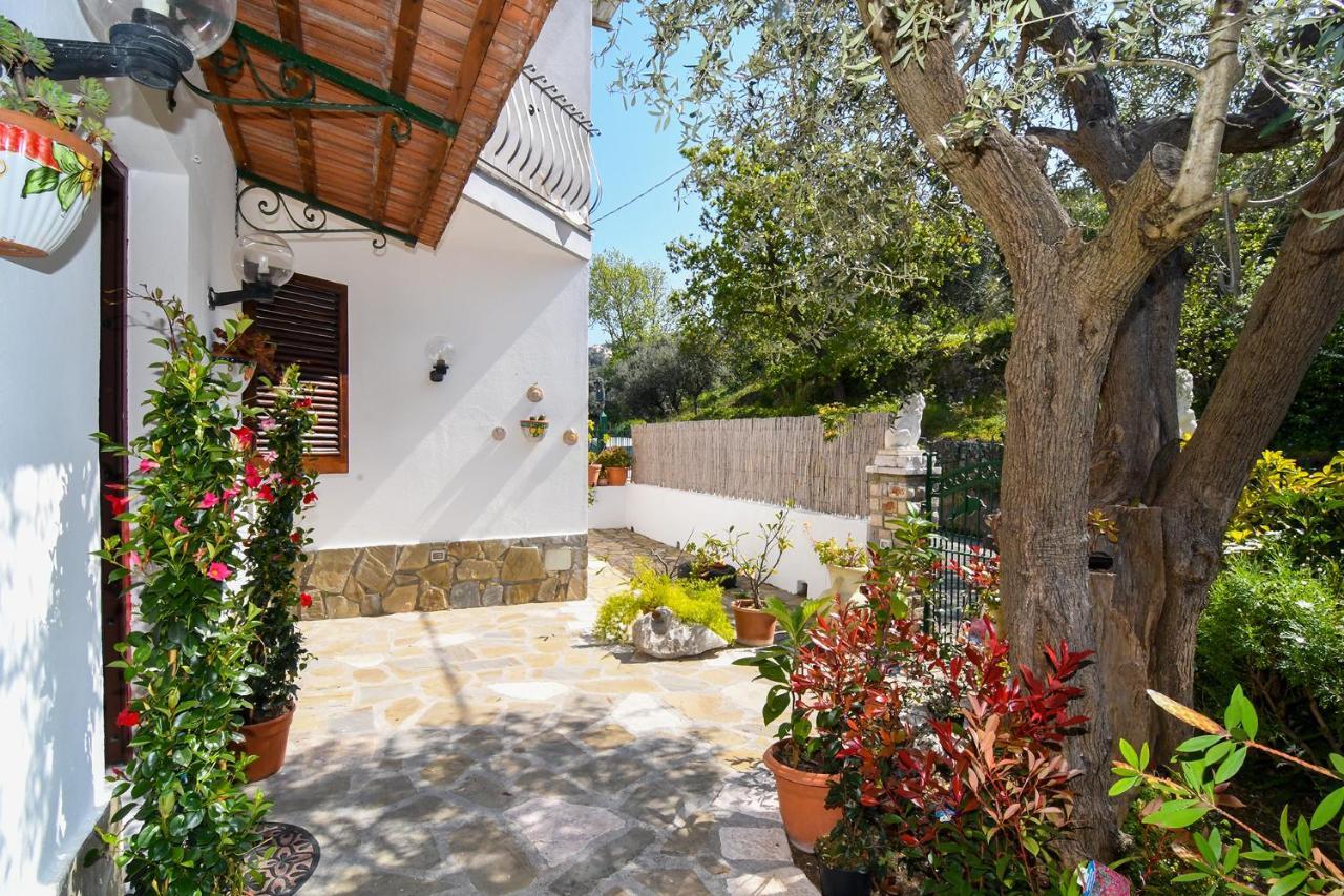 Amore Rentals - Casa Tatano Marciano Exteriér fotografie